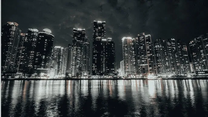 在落地玻璃窗前插 - 城市之光：霓虹背后的人间烟火